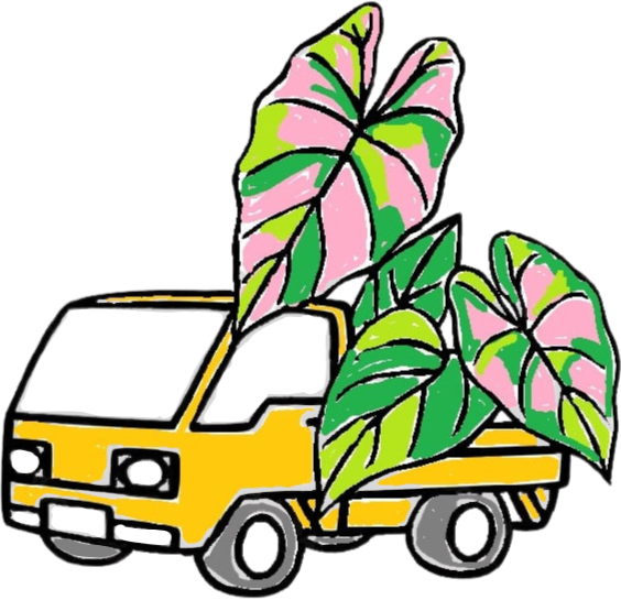 Yellow Truck Lady